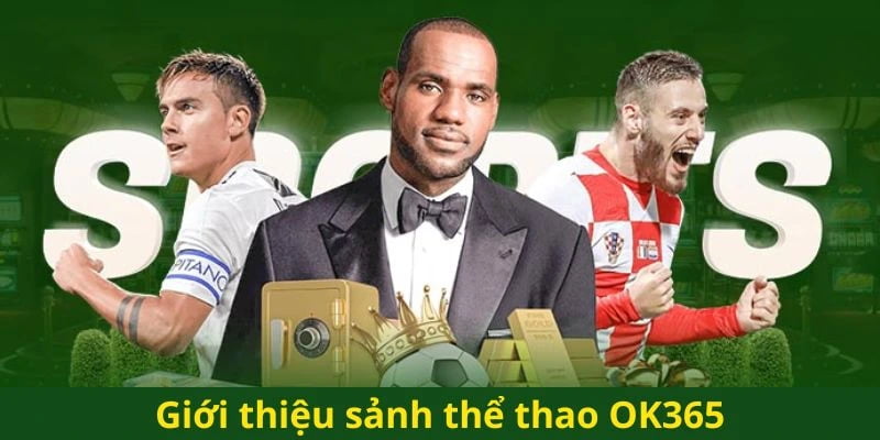 Thể thao OK365 hứa hẹn không gian giải trí hấp dẫn